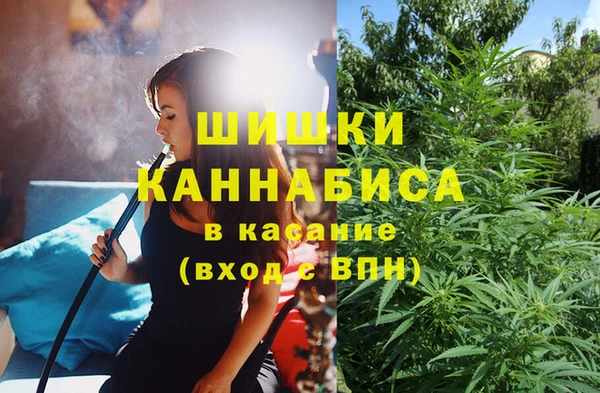 СК Верхний Тагил