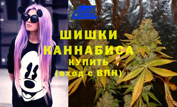 винт Верея