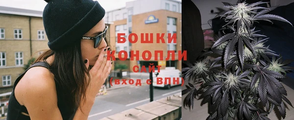 винт Верея