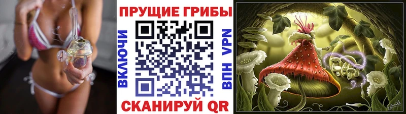 Галлюциногенные грибы Cubensis  Купить где  Красноуральск 